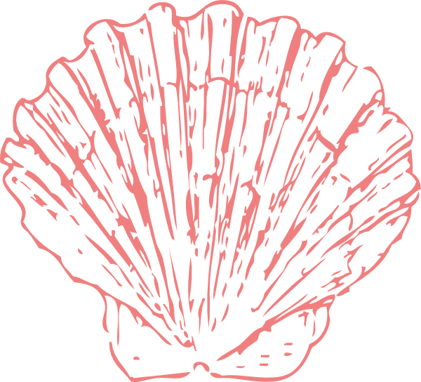 Clipart Seashell Png Transparent Png (600x544), Png Download