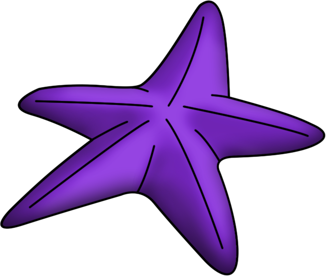 Ampliar Esta Imagen - Estrellas De Mar De La Sirenita Clipart (641x543), Png Download