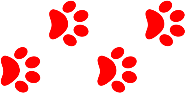 Dog Paw Clipart - Paw - Png Download (700x675), Png Download