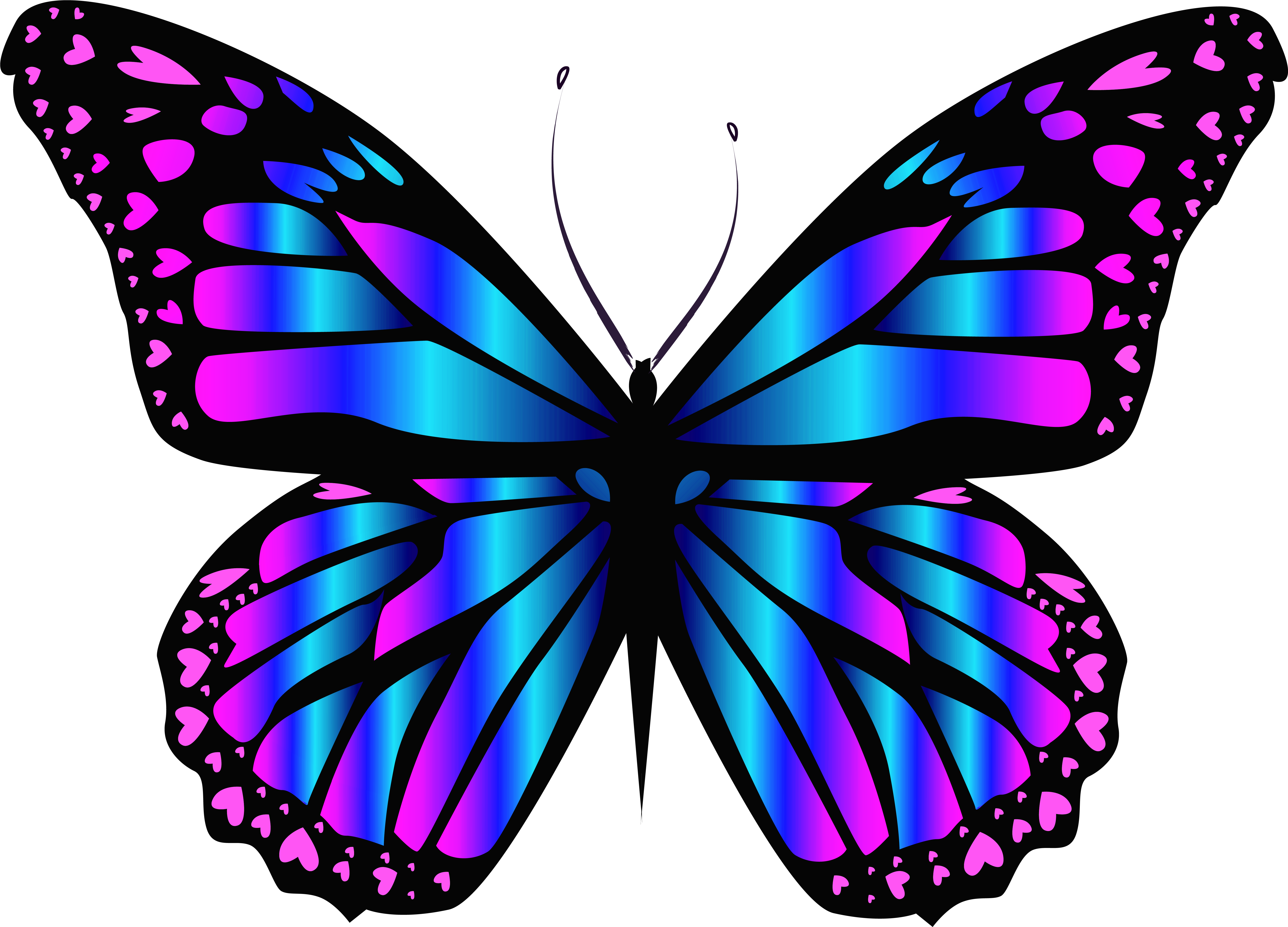 Butterfly Images, Butterfly Clip Art, Butterfly Painting, - Blue Butterfly - Png Download (6347x4697), Png Download