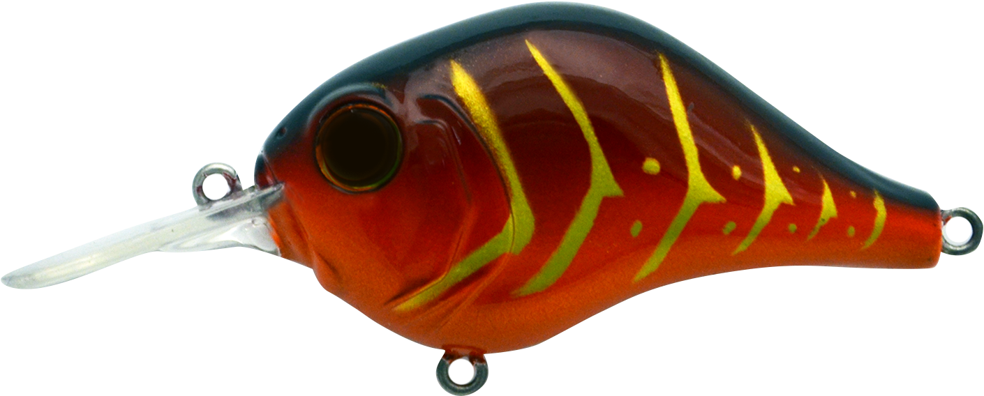 6mr587 Rayburn Red Craw - Insect Clipart (1500x704), Png Download