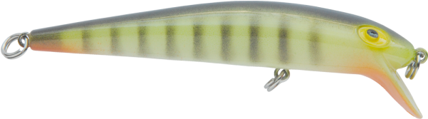 Bait Fish Clipart (600x600), Png Download