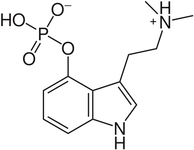 Psilocybin On The Other Hand Is A Naturally Occurring - Psilocybin Molecule Clipart (640x493), Png Download