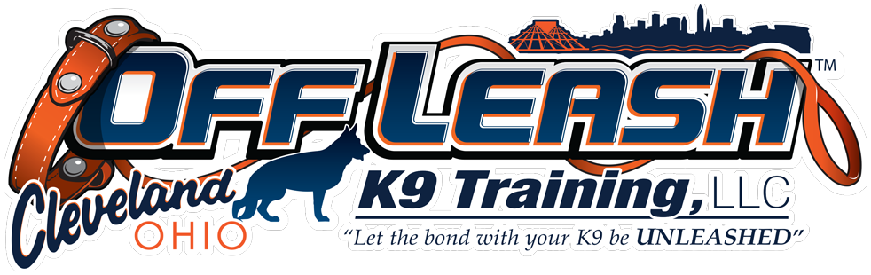Dog Obedience Trainer Cleveland Ohio - Off Leash K9 Training Clipart (1000x334), Png Download