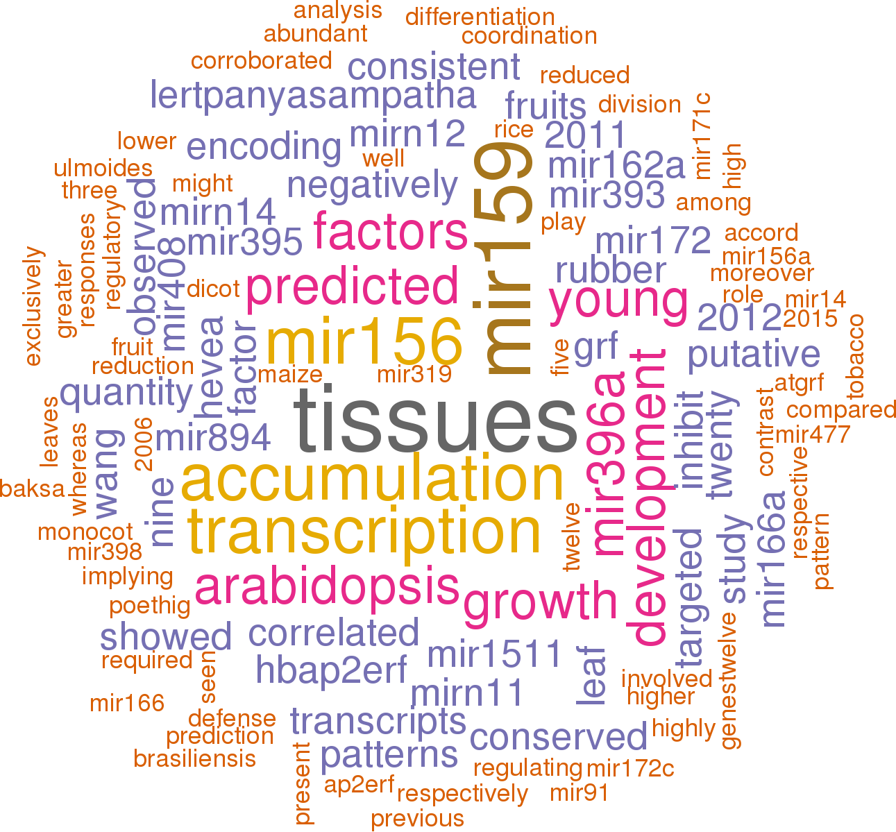 Stem Loop Sequence Hbr Mir396b - Matthew Pearce Clipart (1291x1199), Png Download