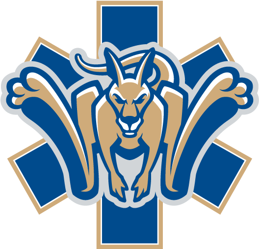 Download Suny Canton Ems - Suny Canton Logo Clipart Png Download - PikPng