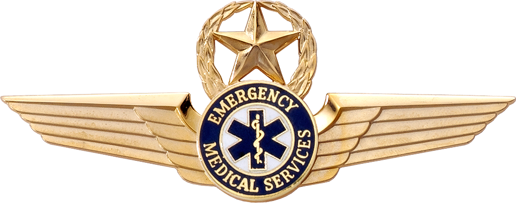 2136sw Emt Star & Wreath Wing - Ems Captain Rank Logo Png Clipart (1027x404), Png Download