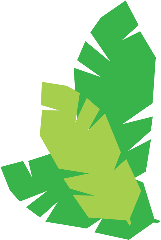 Leaf-cluster , Png Download Clipart (517x771), Png Download