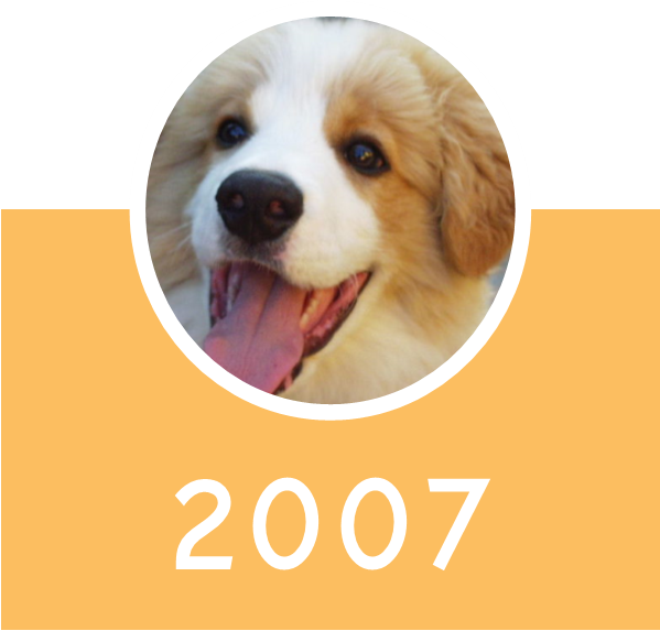 2007 Icon - Companion Dog Clipart (599x573), Png Download