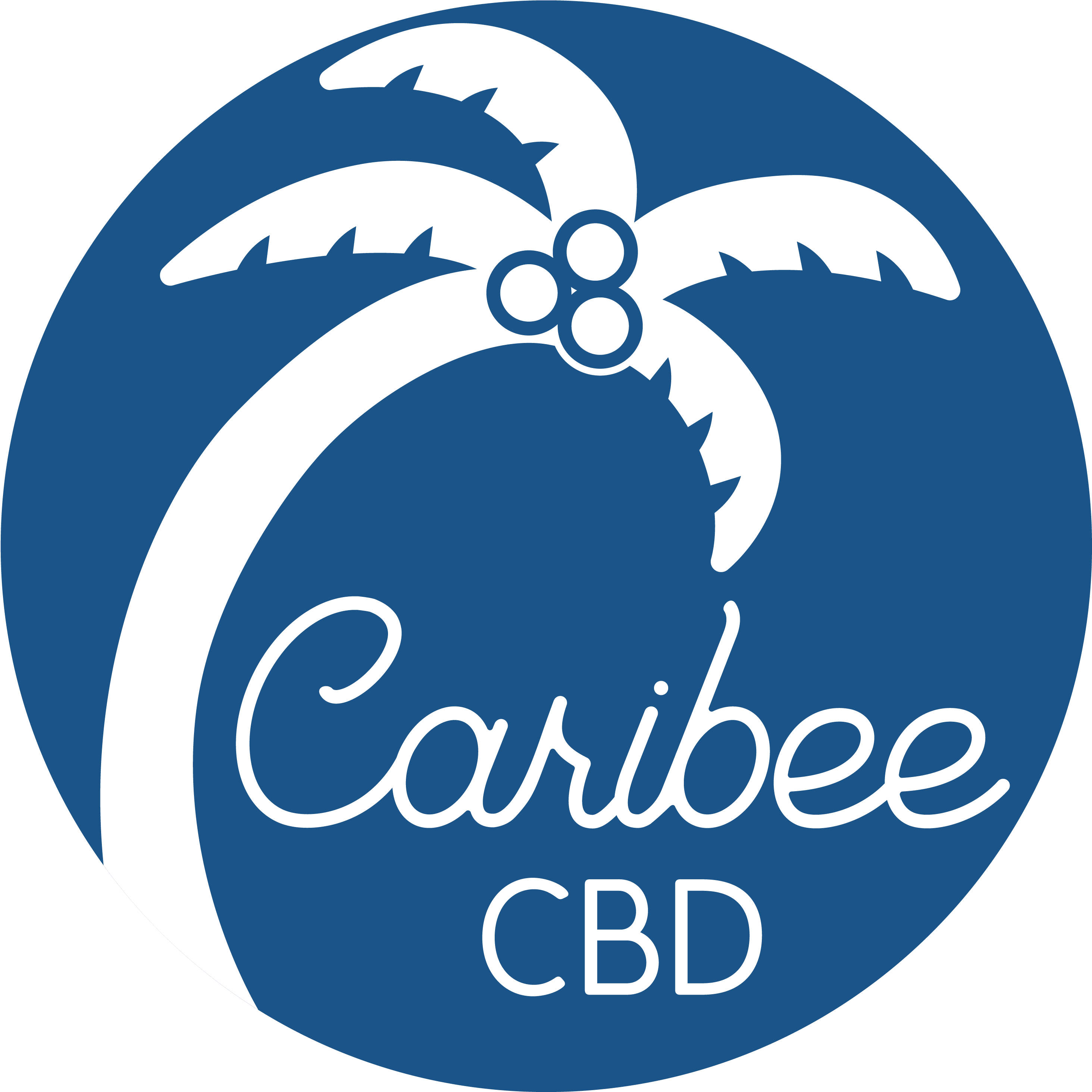 The Caribee Team, Formerly Baby Hooter, Has Come A - Caribee Cbd Clipart (3063x3035), Png Download