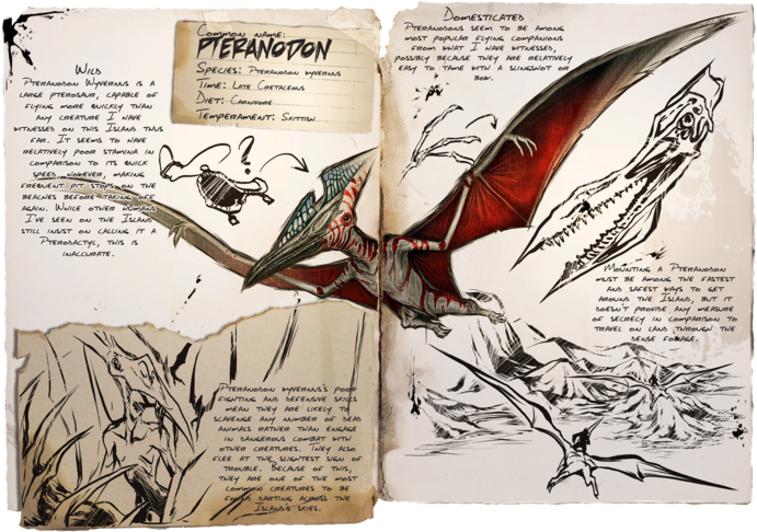 Pteranodon - Pteranodon Ark Clipart (800x532), Png Download