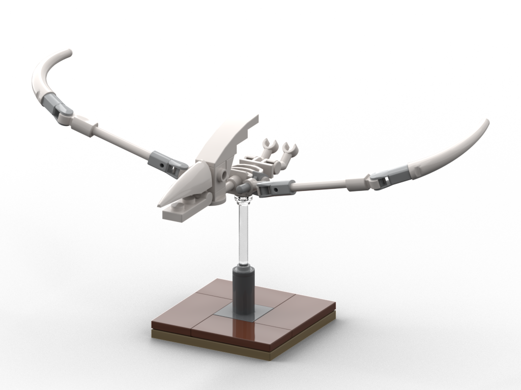 Fossil Pteranodon3 - Scale Model Clipart (1024x768), Png Download