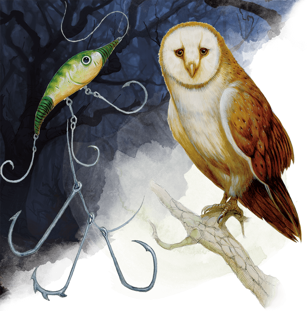 Dnd Owl Clipart (991x1000), Png Download
