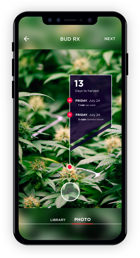 Snaphash Clipart (455x837), Png Download