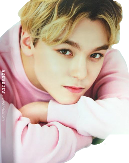 Vernon Hansol Seventeen Kpop Png Seventeen Kpop Hansol - Vernon Seventeen Photoshoot Clipart (517x653), Png Download