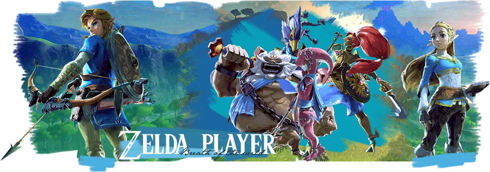 Ost Zelda Botw Complet Dispo - Pc Game Clipart (973x342), Png Download