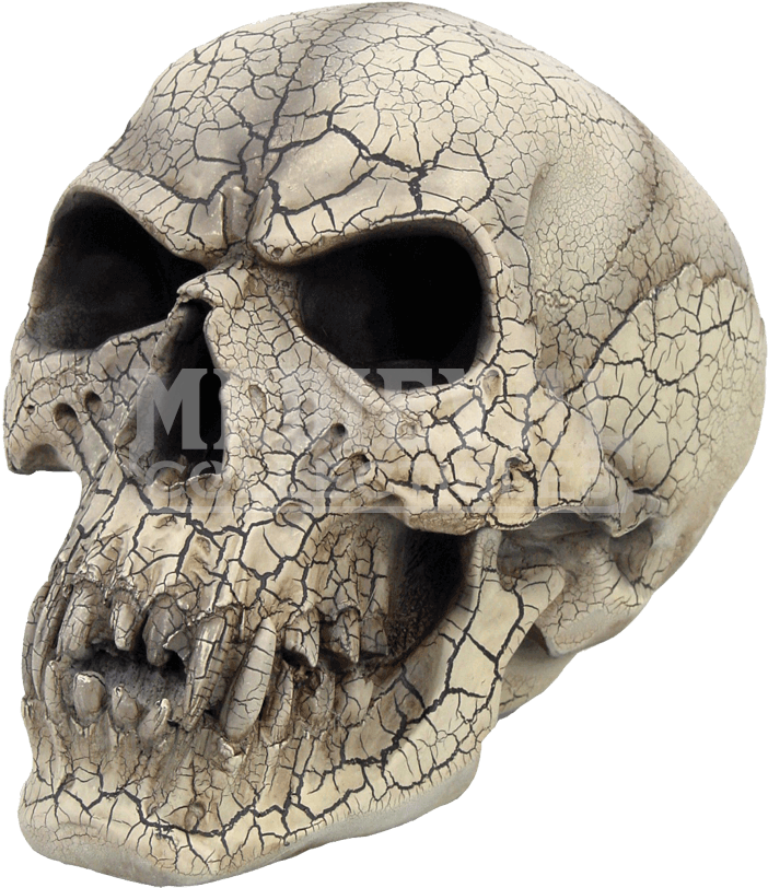 The Witcher 1 Cracked - Skull Clipart (850x850), Png Download