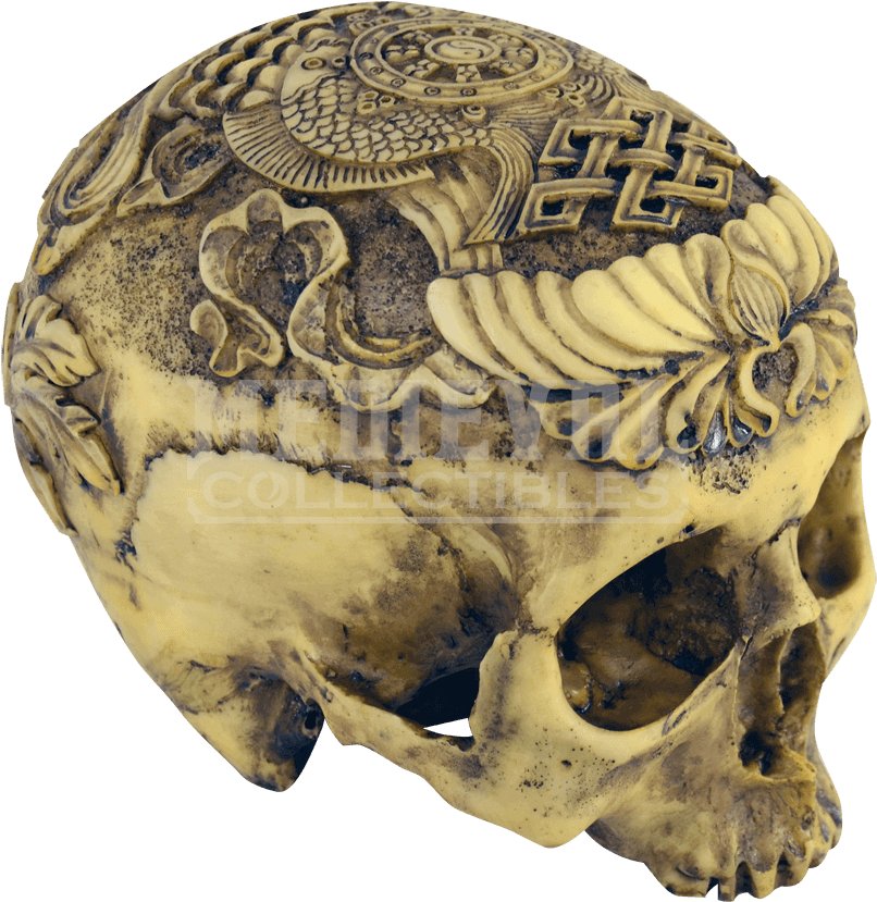 Artistic Carved Human Skull - Human Skull Clipart (850x850), Png Download