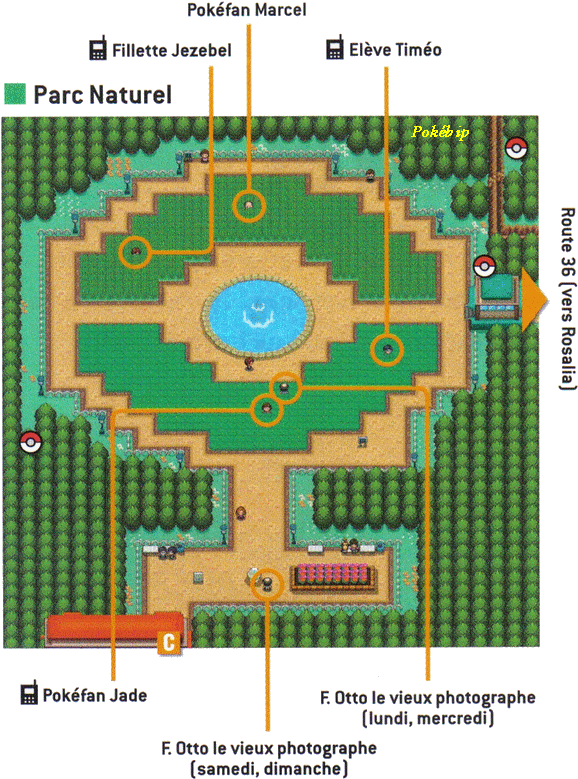Pokémon Gold Version And Pokémon Silver Pokemon Com - Pokemon Go Park Japan Clipart (600x805), Png Download