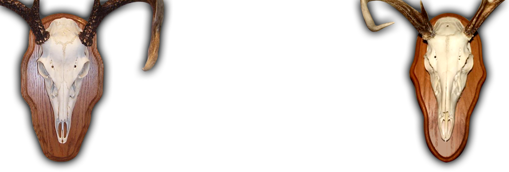 Clock Clipart (1024x346), Png Download