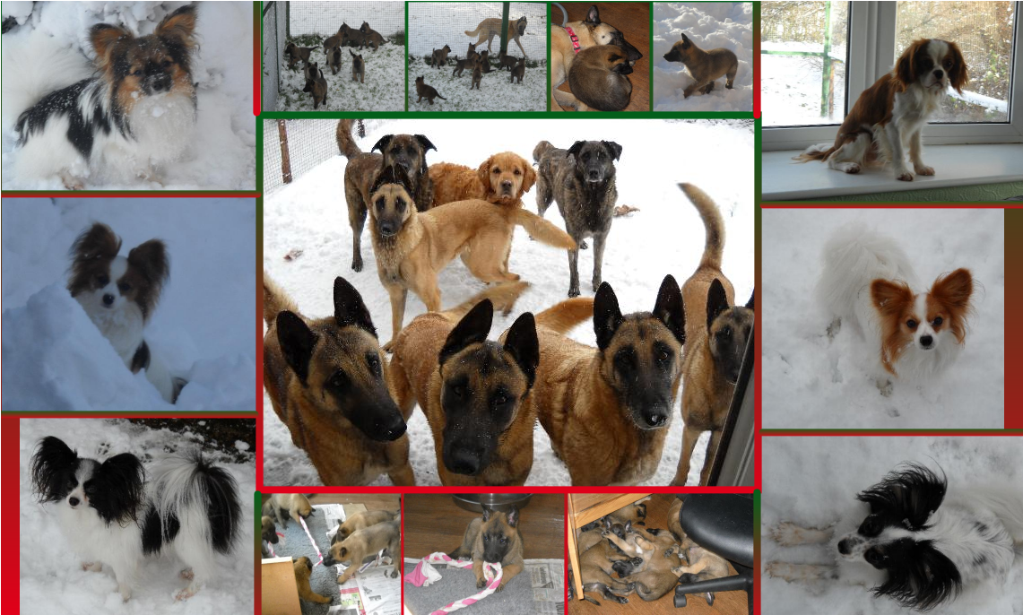 Fuuuu Meme Png Clipart (1300x804), Png Download