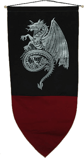 Price Match Policy - Celtic Dragon Clipart (555x555), Png Download