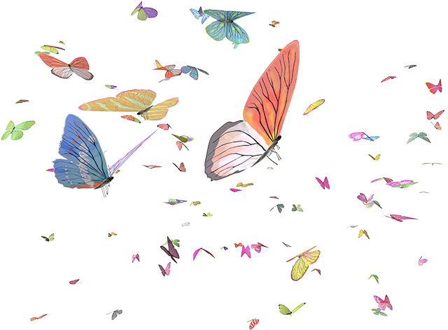 Ronnie Reagan Date - Brush-footed Butterfly Clipart (648x480), Png Download