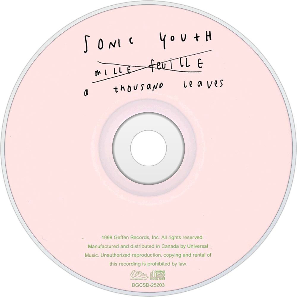 Sonic Youth A Thousand Leaves Cd Disc Image - Sonic Youth Evol Cd Clipart (1000x1000), Png Download