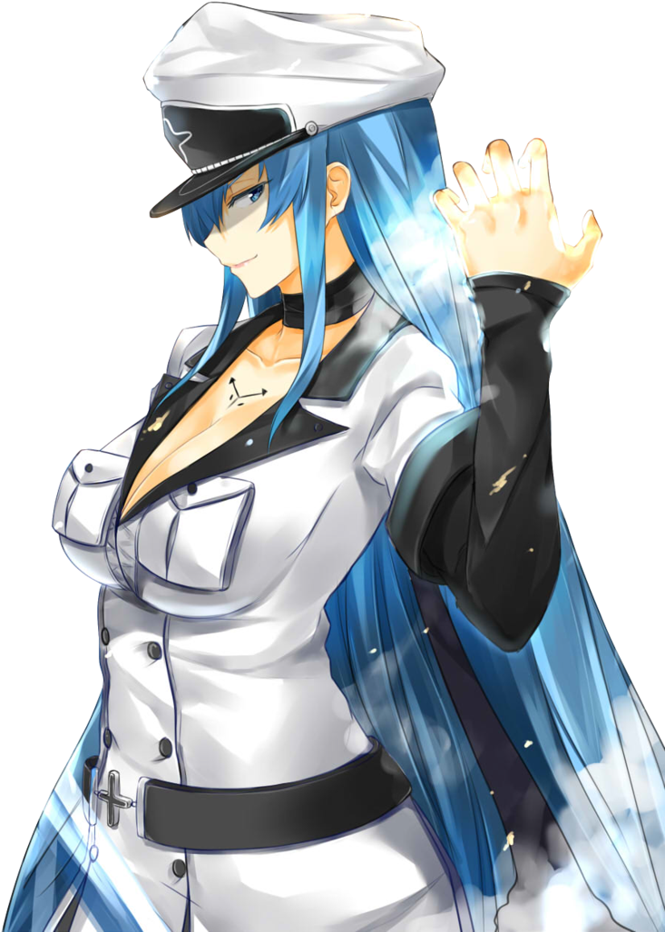 Akame Ga Kill - Akame Ga Kill Esdeath Png Clipart (733x1027), Png Download