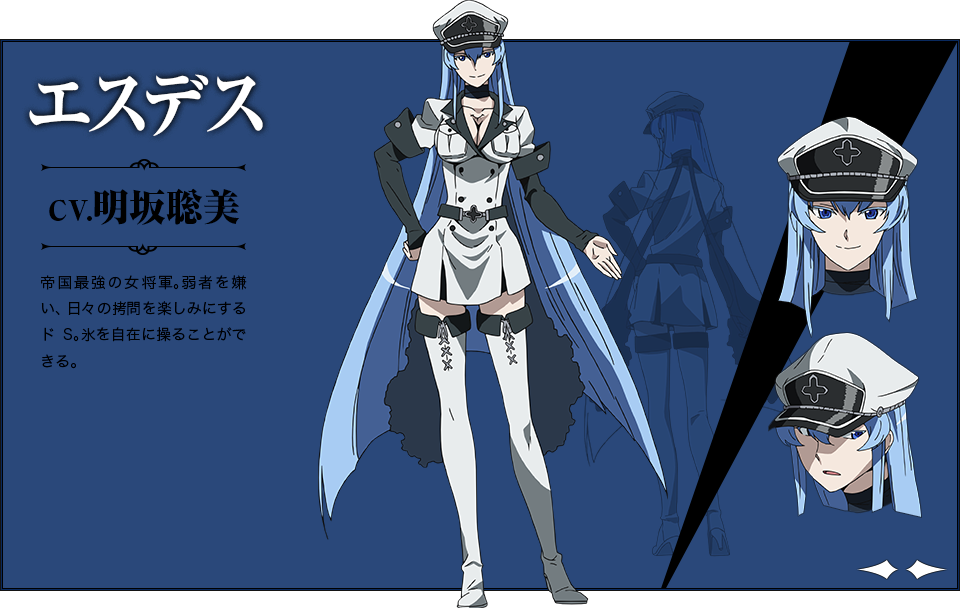 Akame Ga Kill Esdeath Clipart (960x608), Png Download