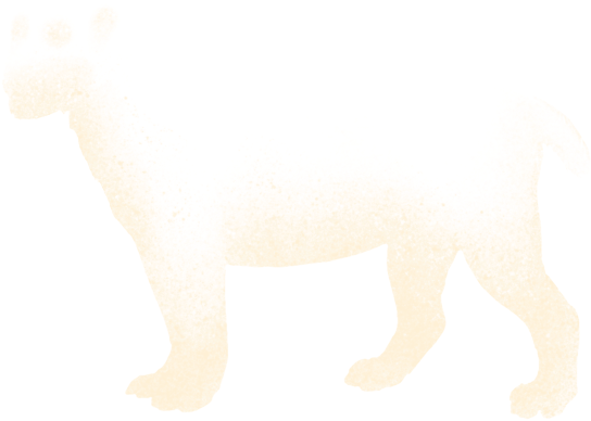 Sheep Clipart (640x500), Png Download