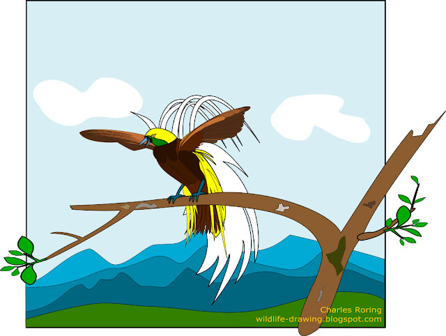 Gambar Burung Cililinformat Png - 20+ Gambar Binatang Terbang Kartun