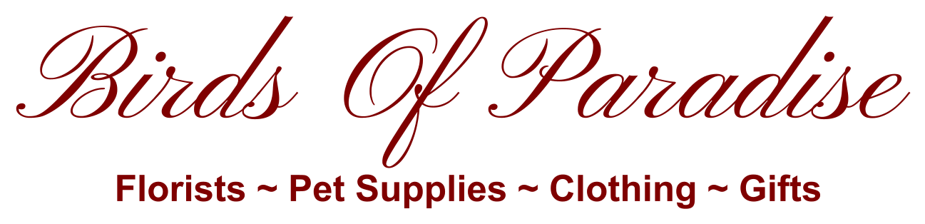 Birds Of Paradise Florists ~ Pet Supplies ~ Clothing - Calligraphy Clipart (1312x328), Png Download