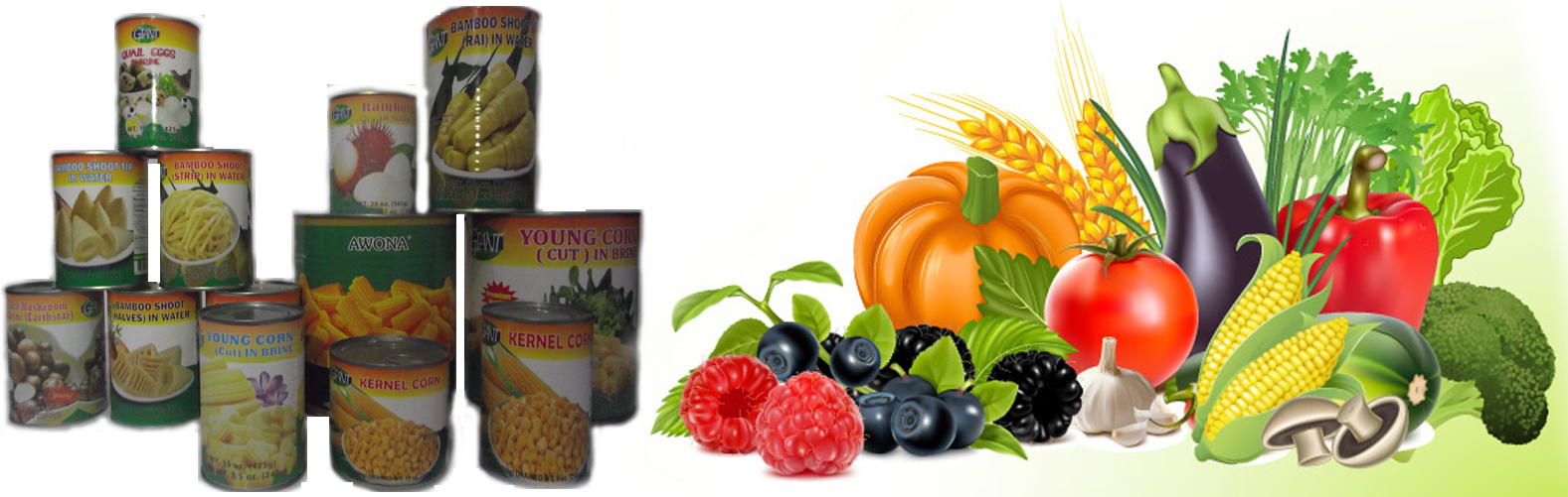 Green Giant Co - Seedless Fruit Clipart (1950x500), Png Download