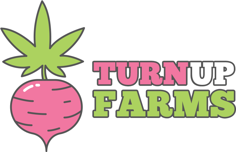 Turn Up Farms - Strawberry Clipart (928x928), Png Download