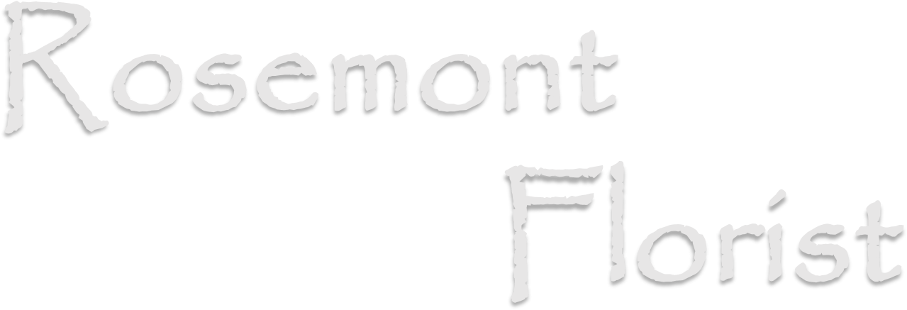 Calligraphy Clipart (1804x681), Png Download