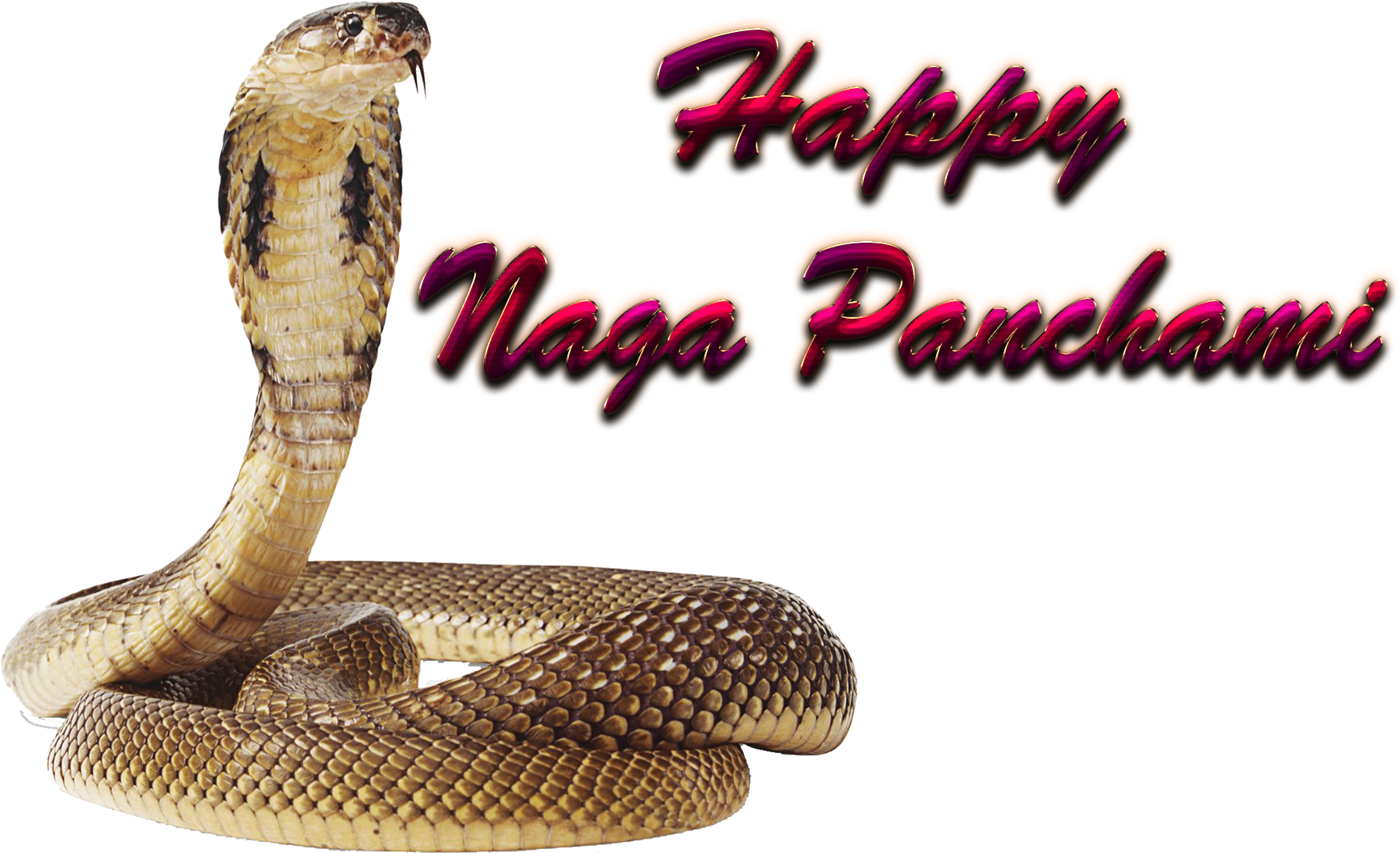 Png Nagula Chavithi Items Clipart (1920x1200), Png Download