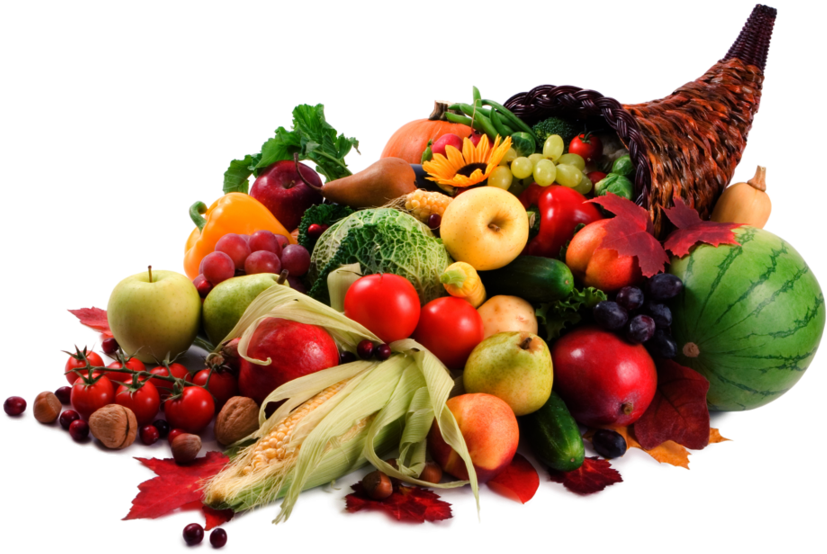 Horn Of Plenty - Corne D Abondance Fruits Clipart (900x663), Png Download