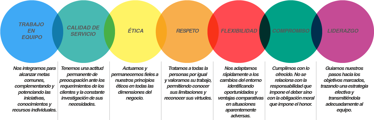 Circle Clipart (1362x480), Png Download