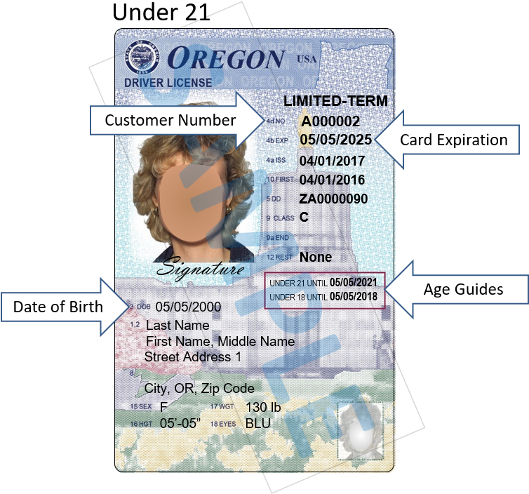 Where Do I Find The Birth Date And Dmv Customer Number - New Oregon Drivers License Design Clipart (755x926), Png Download