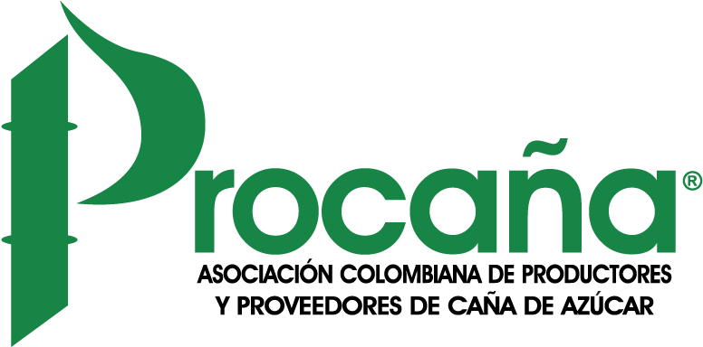 Graphic Design Clipart (1000x436), Png Download