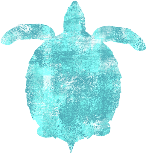 Click And Drag To Re-position The Image, If Desired - Kemp's Ridley Sea Turtle Clipart (583x700), Png Download