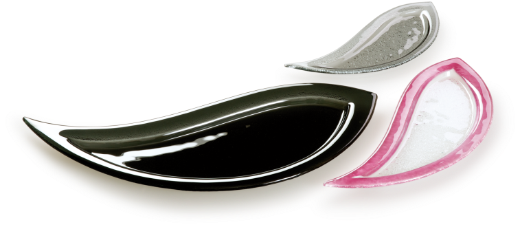 Mio - Eagle Clipart (800x530), Png Download