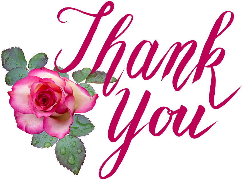 Lady Receives A Rose & Makes Her Day - Thank You Images With Roses Clipart (960x640), Png Download