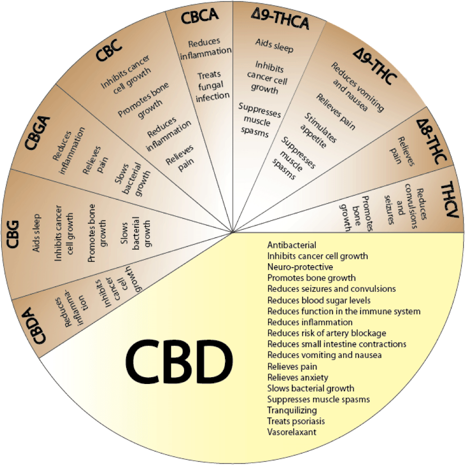 Cbd-benefits - Cannabinoid Effects Clipart (947x947), Png Download