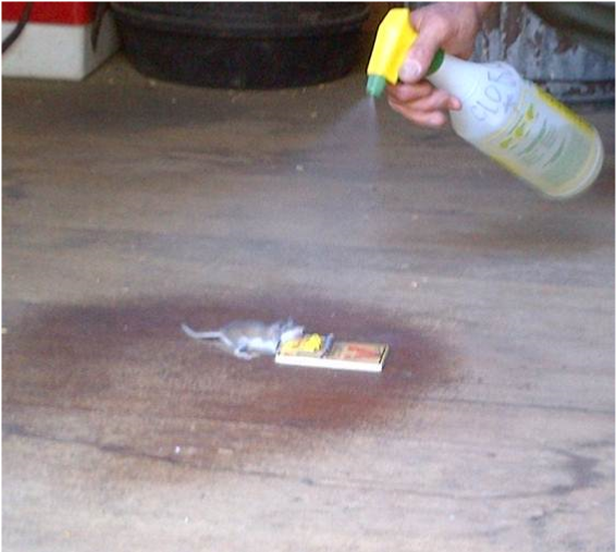 A Person Sprays A Plastic Bottle Of Solution At A Dead - Curb Clipart (1143x506), Png Download