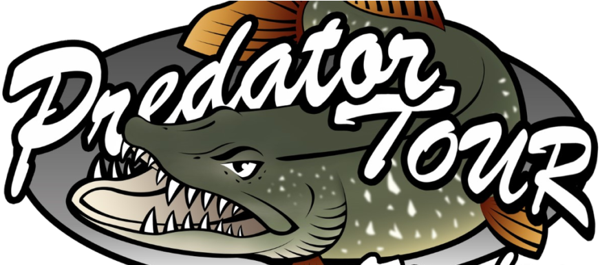 Alligator Clipart (945x385), Png Download