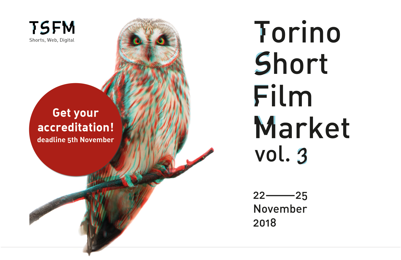 2017 Aiace Nazionale - Owl Clipart (1597x1183), Png Download