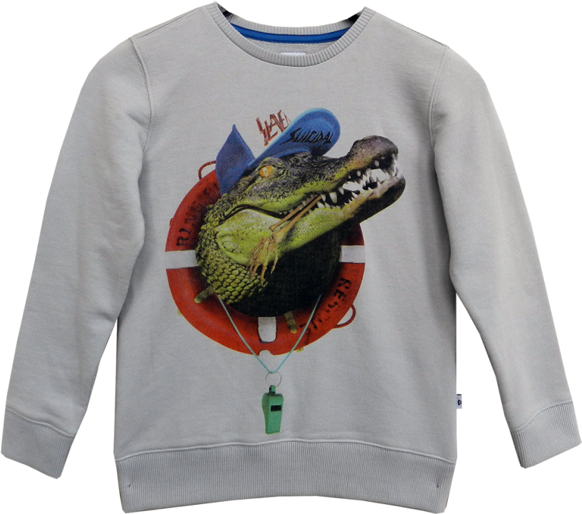 The Future Is Ours Brutus Sweatshirt - Northern Longear Clipart (960x720), Png Download