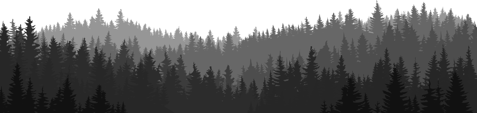 Bosque Png - Arboles De Bosque Png Clipart (1600x381), Png Download